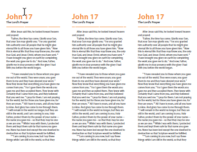 John 17 Bookmark