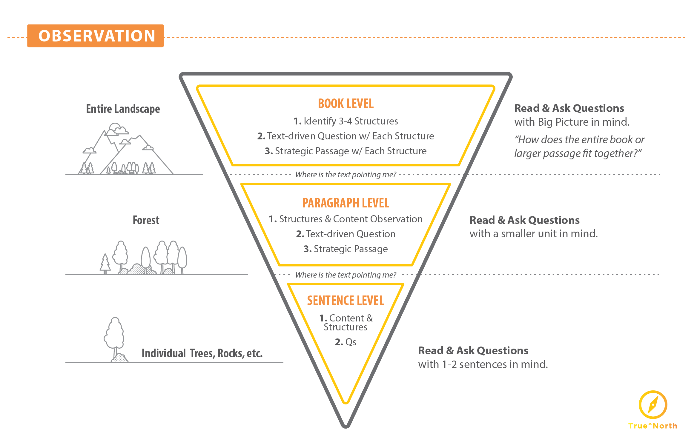 3 Steps of Observation Diagram